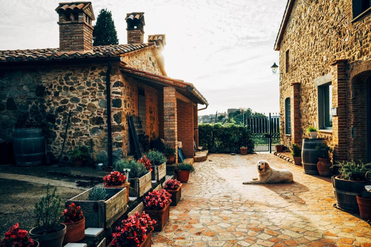 Podere Orto Wine Country House Trevinano Exterior foto
